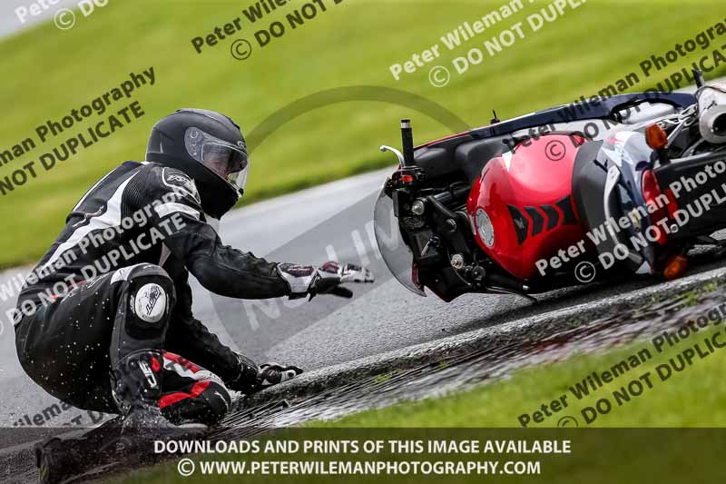 PJ Motorsport 2019;anglesey;brands hatch;cadwell park;croft;donington park;enduro digital images;event digital images;eventdigitalimages;mallory;no limits;oulton park;peter wileman photography;racing digital images;silverstone;snetterton;trackday digital images;trackday photos;vmcc banbury run;welsh 2 day enduro